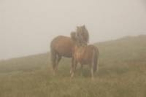 2014 VII - Carnedd Llewelyn